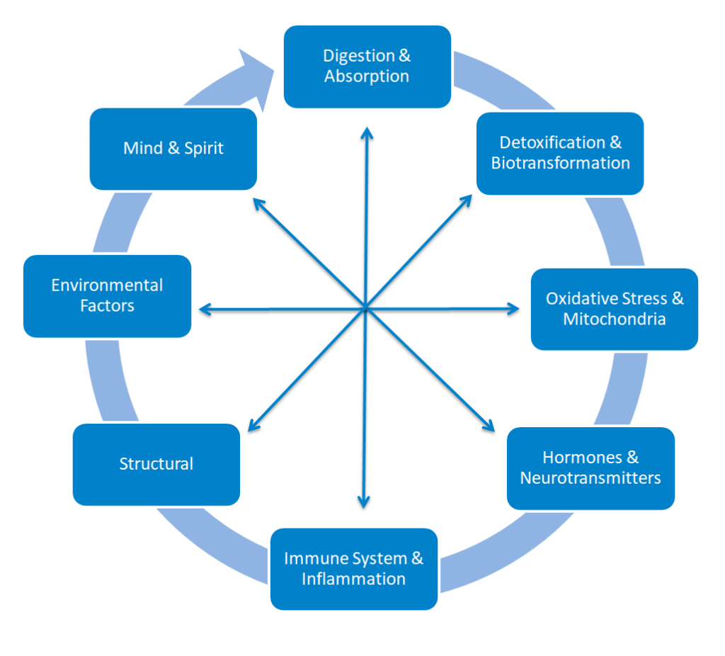 Connections Between Clinical Imbalances Within the Functional Nutrition Framework