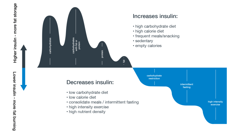 Effects of diet and lifestyle on insulin levels