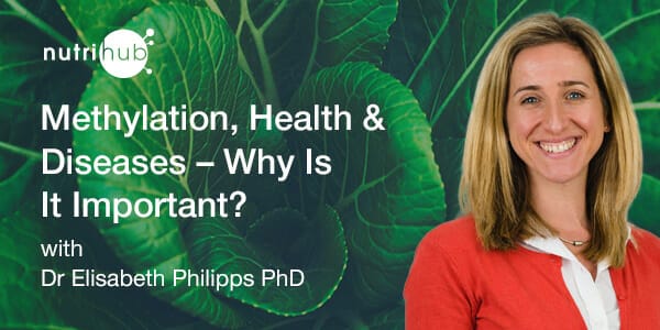 Methylation-Health-and-Diseases-–-Why-Is-It-Important