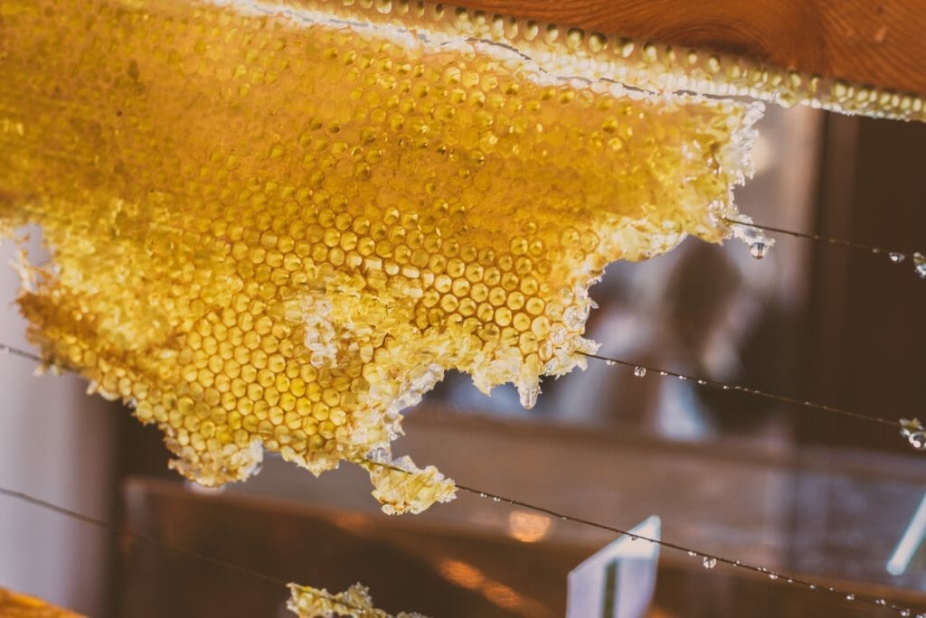 Seasonal Allergies Local Raw Honey